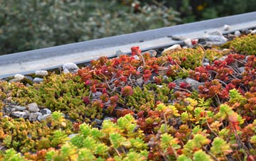 the cost of Snead green roof installation