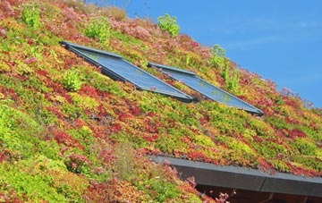 Snead living roof systems