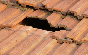 roof repair Snead, Powys
